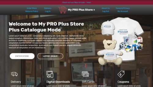 My PRO Plus Store Plus Catalogue Mode System Template for V4
